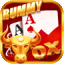 rummy aap